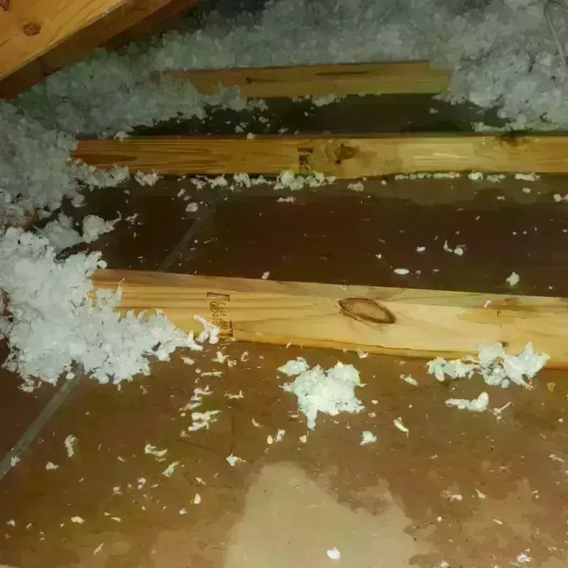 Attic Water Damage in Portage, WI