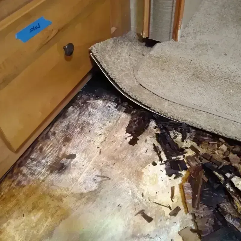 Best Wood Floor Water Damage Service in Portage, WI